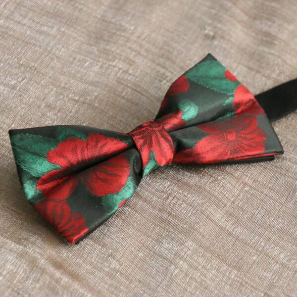 Nœud papillon vert rouge
