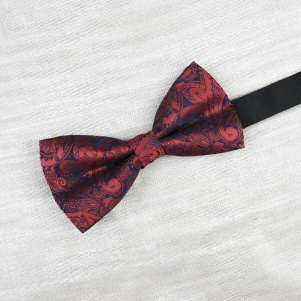 Nœud papillon Paisley bordeaux & bleu